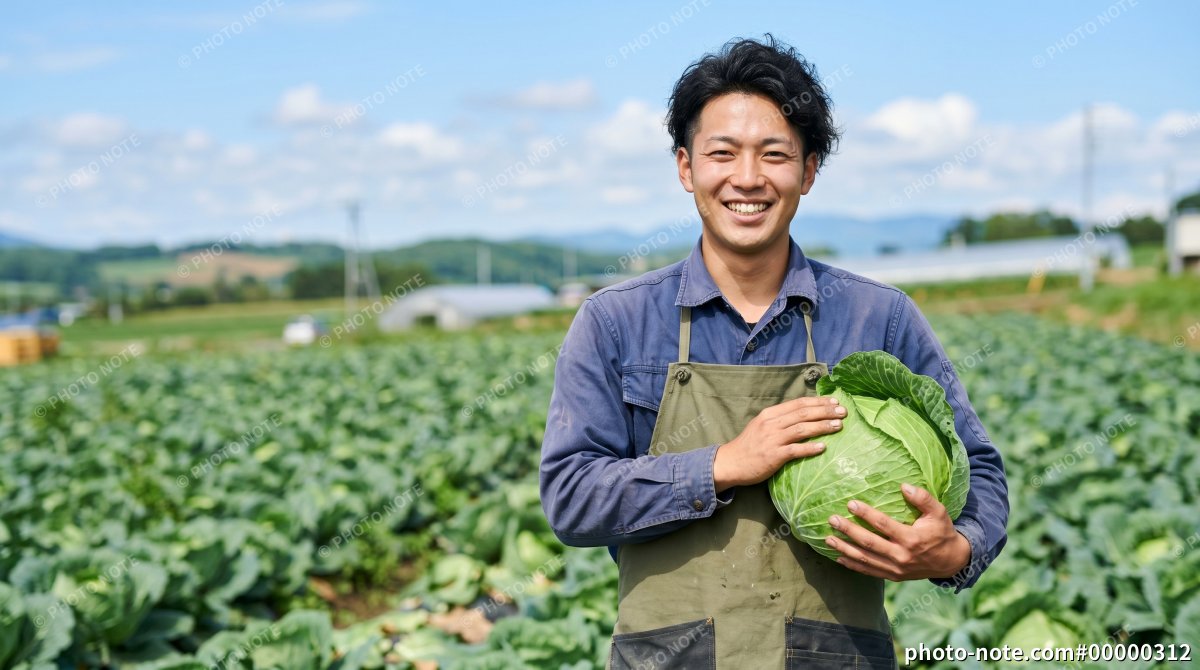 キャベツ農家の男性
